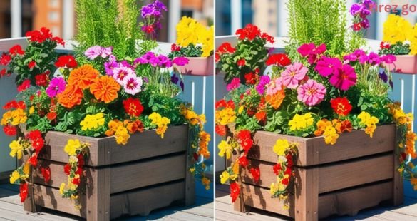 planter box