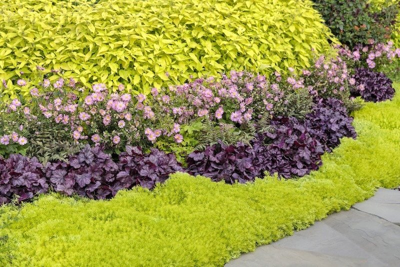 Plants for Coral Bells in Part Shade