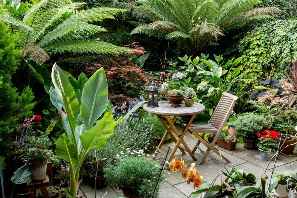 Practical Garden Design Ideas